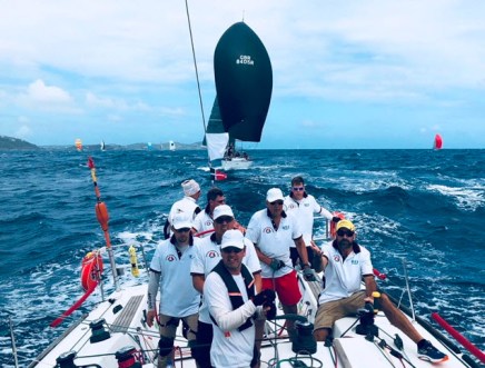 Tigressflyingblackbird